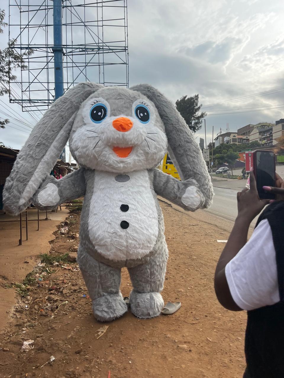 Rabbit Costume (Gray)